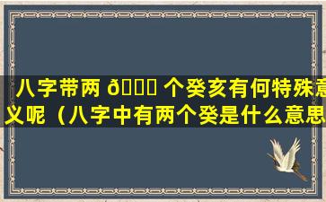 八字带两 🐝 个癸亥有何特殊意义呢（八字中有两个癸是什么意思）